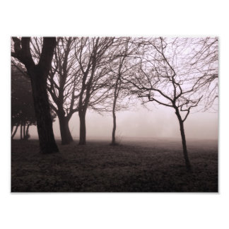 Landscape Print Trees in Mist