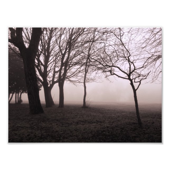 Landscape Print Trees in Mist (Front)