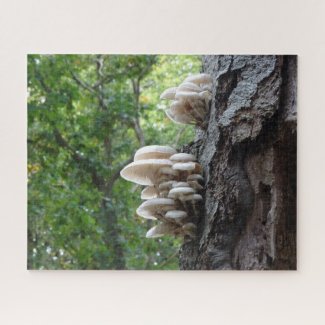 Landscape Puzzle: Beautiful Porcelain Mushrooms