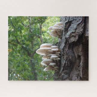 Landscape Puzzle: Beautiful Porcelain Mushrooms Jigsaw Puzzle