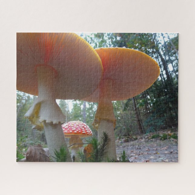 Landscape Puzzle: Fly Amanitas in Forrest  Jigsaw Puzzle (Horizontal)