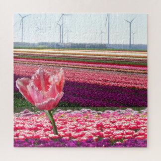 Landscape Puzzle: Pink Purple Tulips Field Jigsaw Puzzle