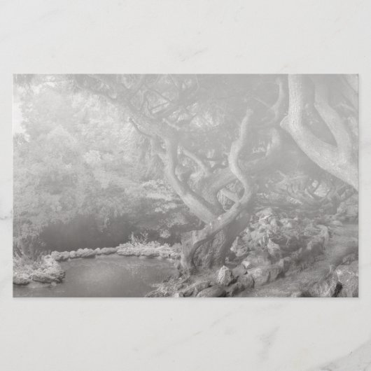 Landscape - The Forbidden Forest (Front)