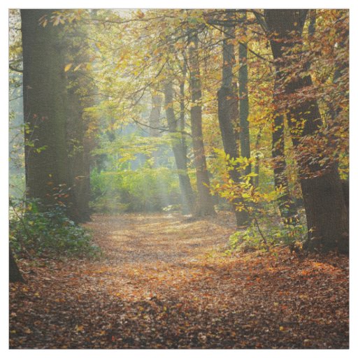 Landscape Themed Fabric