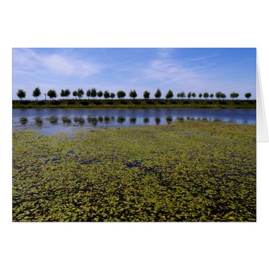 Landscape Waterscape (Front Horizontal)