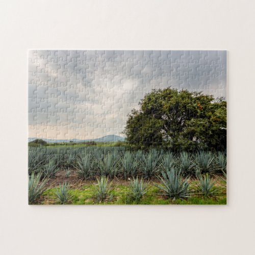 Landscape With Blue Agave Jigsaw Puzzle