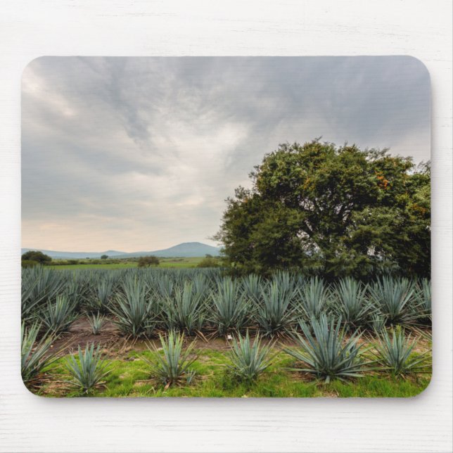 Landscape With Blue Agave Mouse Pad (Front)