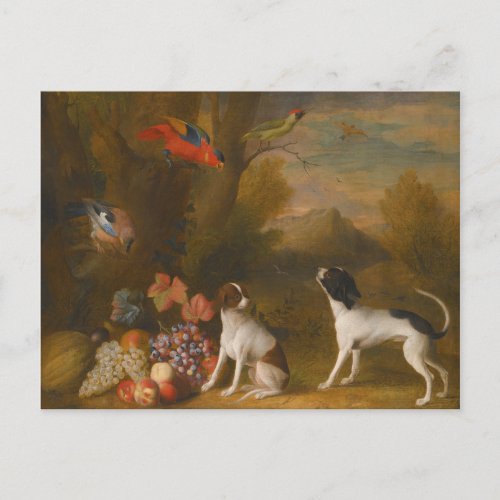 Landscape with exotic birds and two dogs postcard