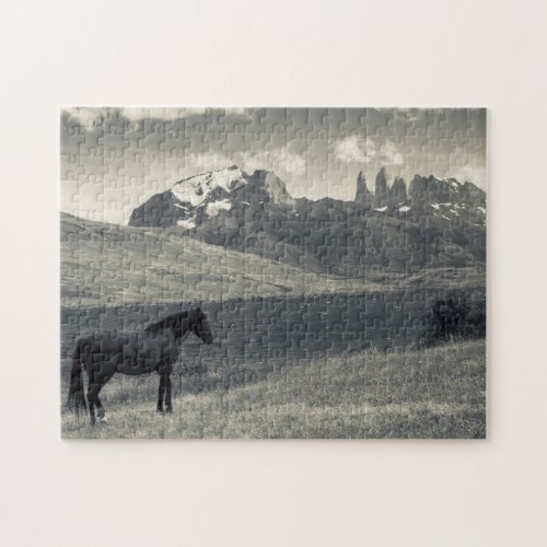 Landscape with horses 2 jigsaw puzzle
