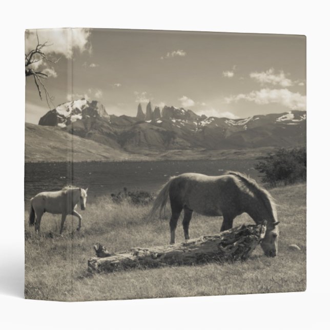 Landscape with horses 3 ring binder (Front/Spine)