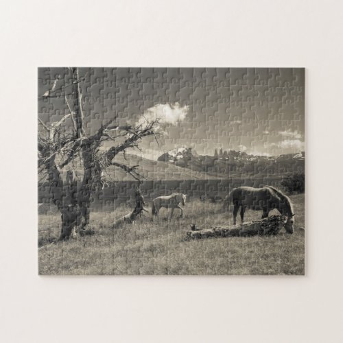 Landscape with horses jigsaw puzzle