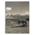 Landscape with horses notebook Landscape with horses notebook