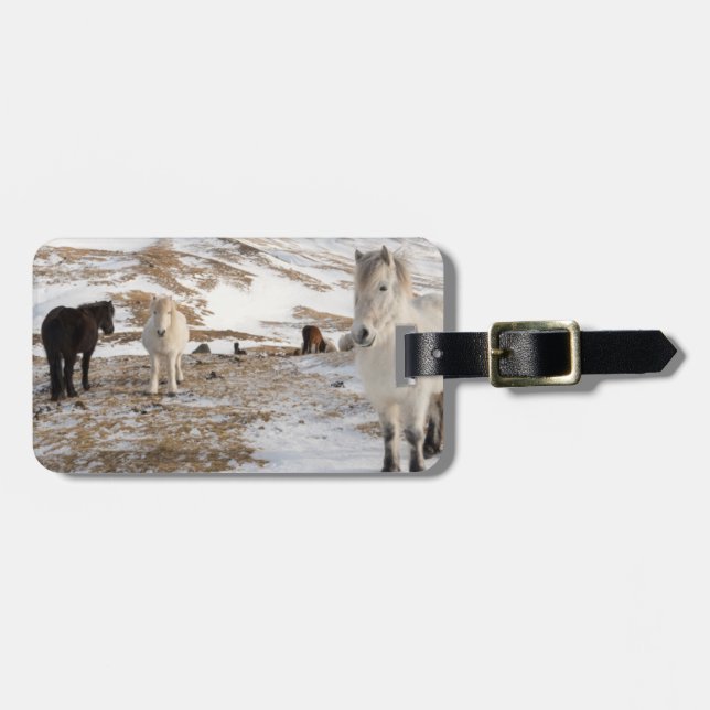 Landscape with Icelandic Horses Luggage Tag (Front Horizontal)