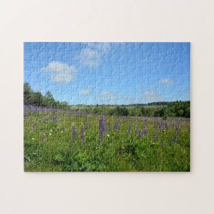 Landscape with lupins - jigsaw puzzle