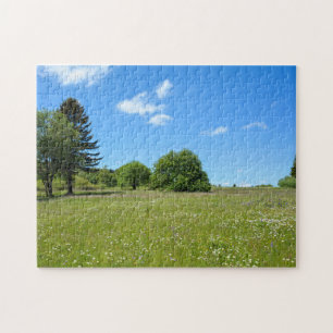 Landscape with meadow - jigsaw puzzle