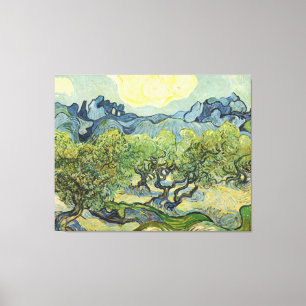 Landscape with Olive Vincent Willem van Gogh Canvas Print