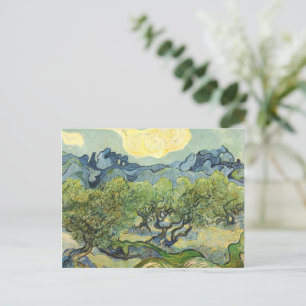 Landscape with Olive Vincent Willem van Gogh  Postcard