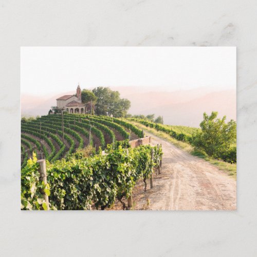 Landscape with vineyards and church postcard