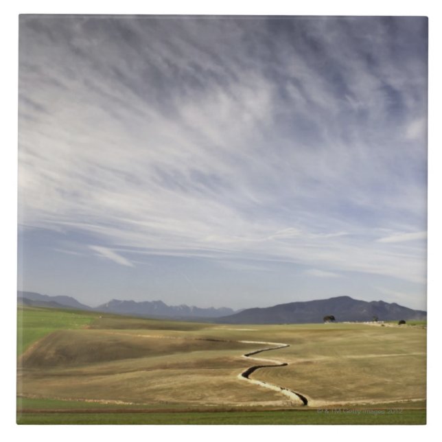 Landscape with wheat fields, Grabouw, Western Tile (Front)