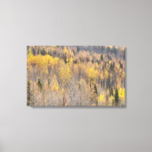 Landscape Yellow Orange Alaska Autumn Canvas Print