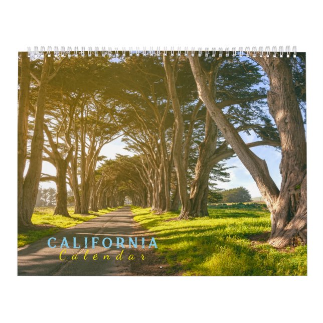 Landscapes of California  Calendar (Cover)
