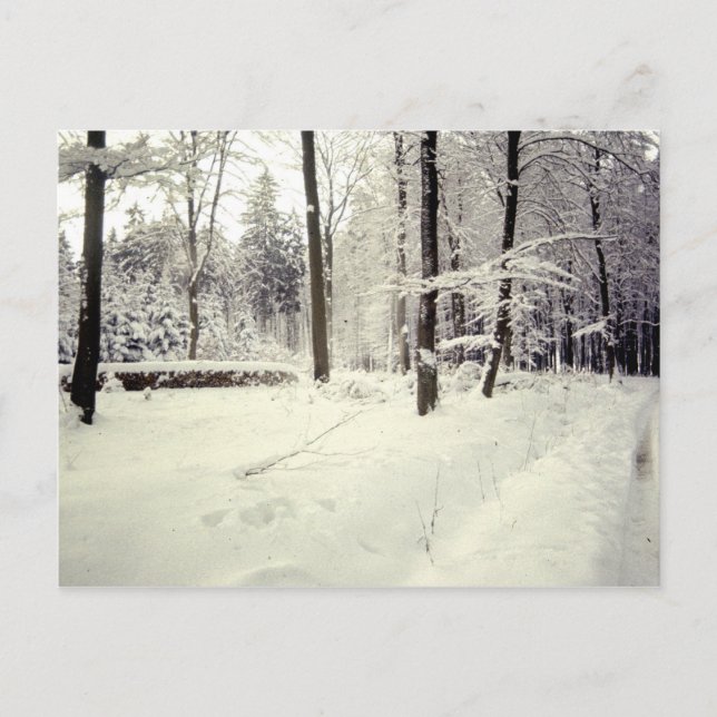 Landscapes Postcard (Front)