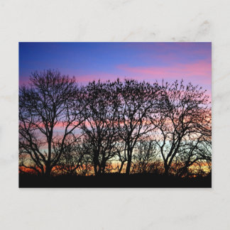 Landscapes Postcard