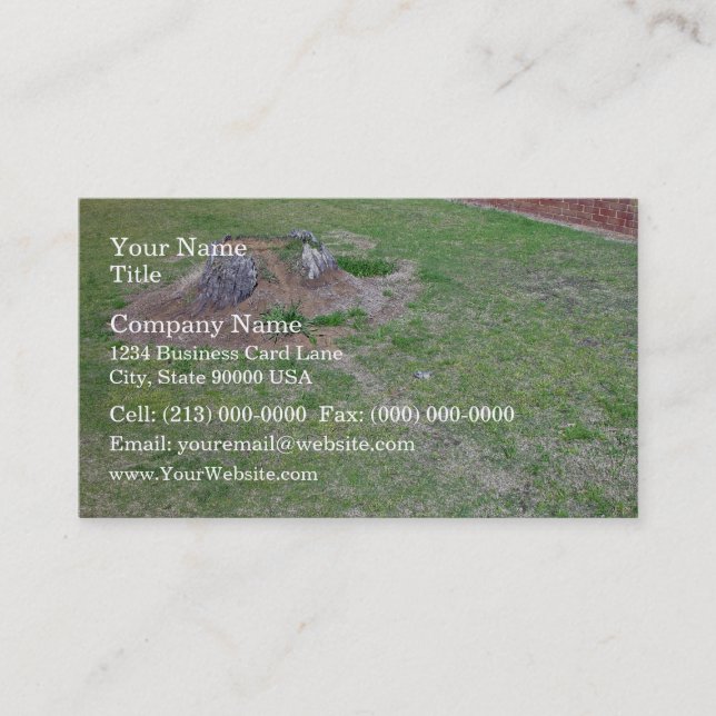 Landscaping Ideas to Cover a Tree Stump Business Card (Front)