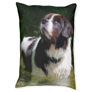 Landseer Dog Bed. Pet Bed