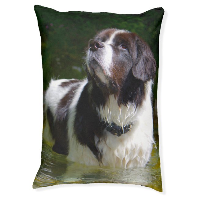 Landseer Dog Bed. Pet Bed (Front Vertical)