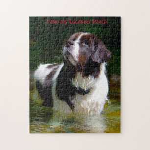 Landseer Dog. Jigsaw Puzzle
