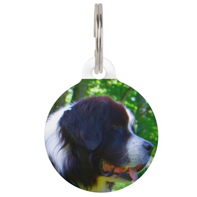 Landseer Dog. Pet ID Tag (Front)