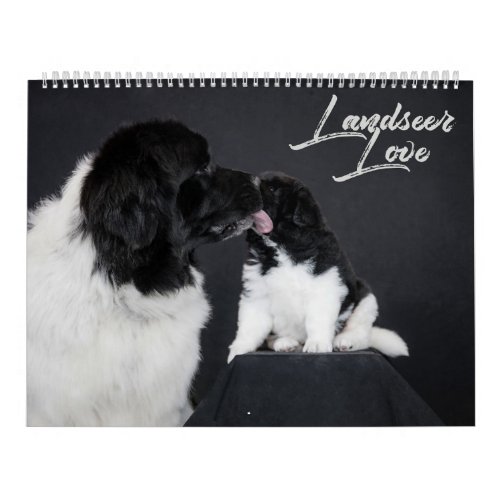 Landseer Love Calendar