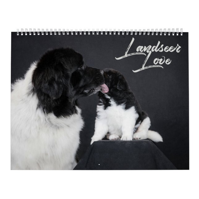 Landseer Love Calendar (Cover)