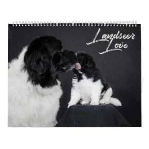 Landseer Love Calendar