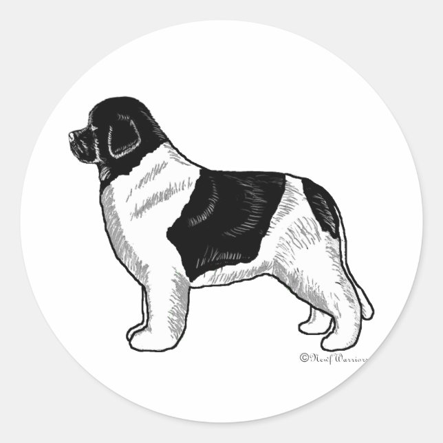 Landseer Newfoundland Classic Round Sticker (Front)