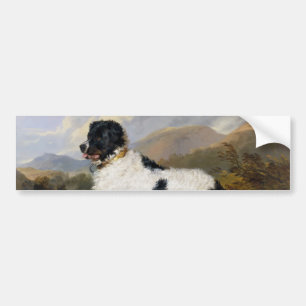 Landseer Newfoundland Dog (Black and White Animal) Bumper Sticker