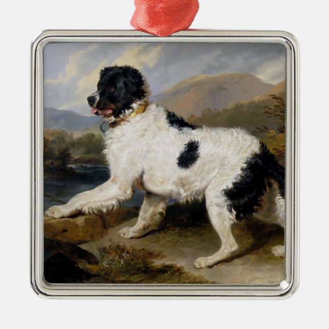 Landseer Newfoundland Dog (Black and White Animal) Metal Ornament (Front)