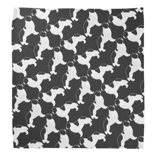 newfoundland dog bandana