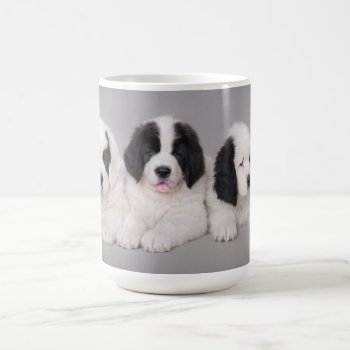 Landseer Puppy Coffee Mug by petsArt at Zazzle