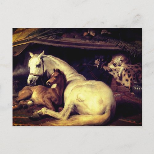 Landseer The Arab Tent Horses Announcement Postcard