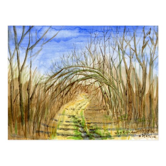 "Lane with Arched Branches" watercolor landscape Postcard