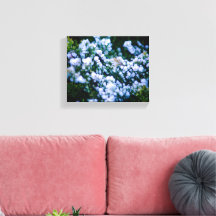 Langley Waterfront Flower Cluster Photography