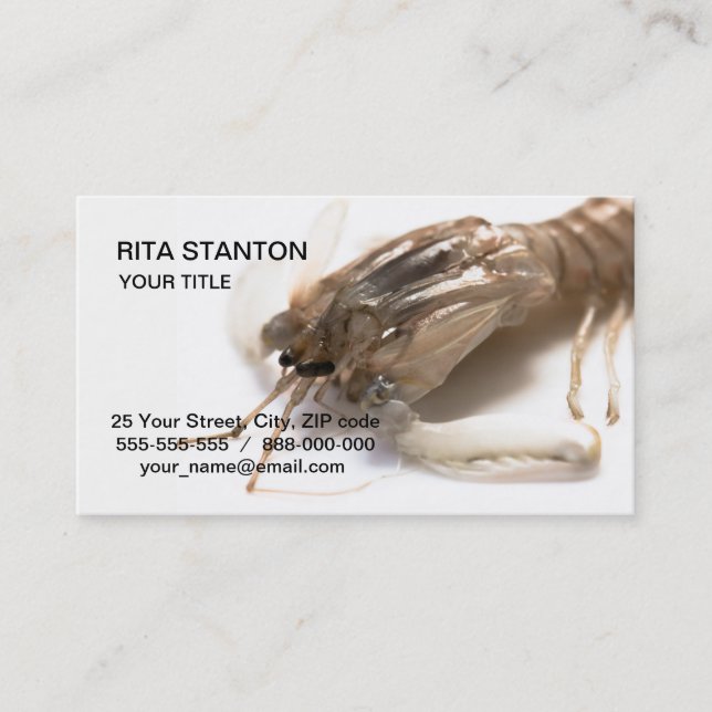 Langoustine Business Card (Front)
