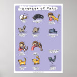 language of cats poster