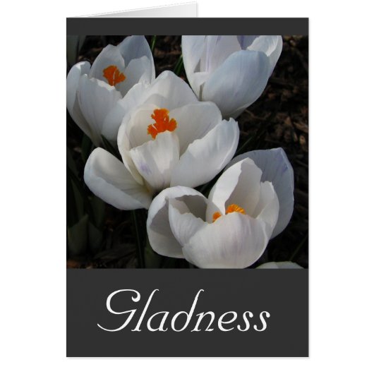 Language of Flowers Cards (Front)