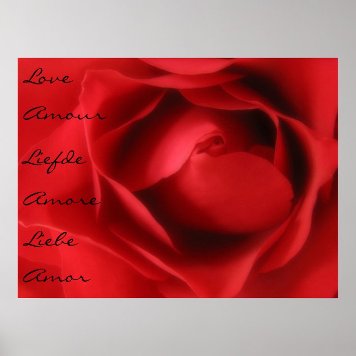 Language of Love Posters