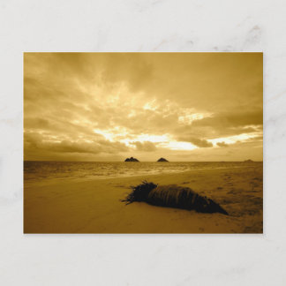 Lanikai Sunrise postcard