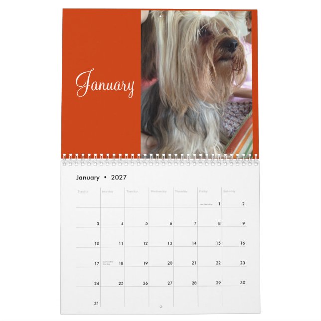 Lanis 2014 Calendar (Jan 2027)
