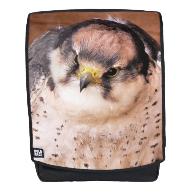 LANNER FALCON BACKPACK (Front)